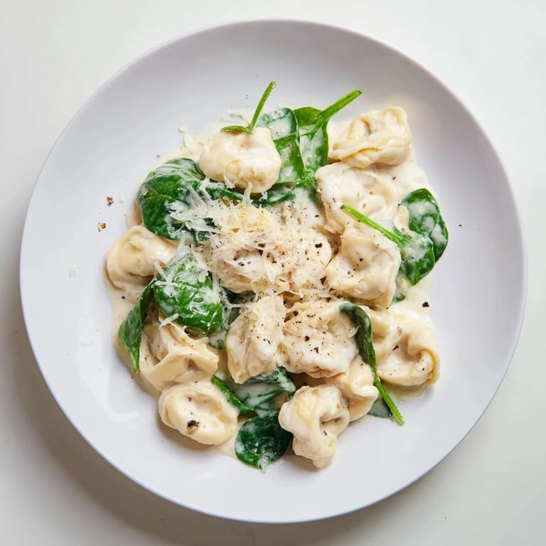 A close-up of a bowl of Creamy Spinach Alfredo Tortellini, ready to be enjoyed as a comforting vegetarian dinner.